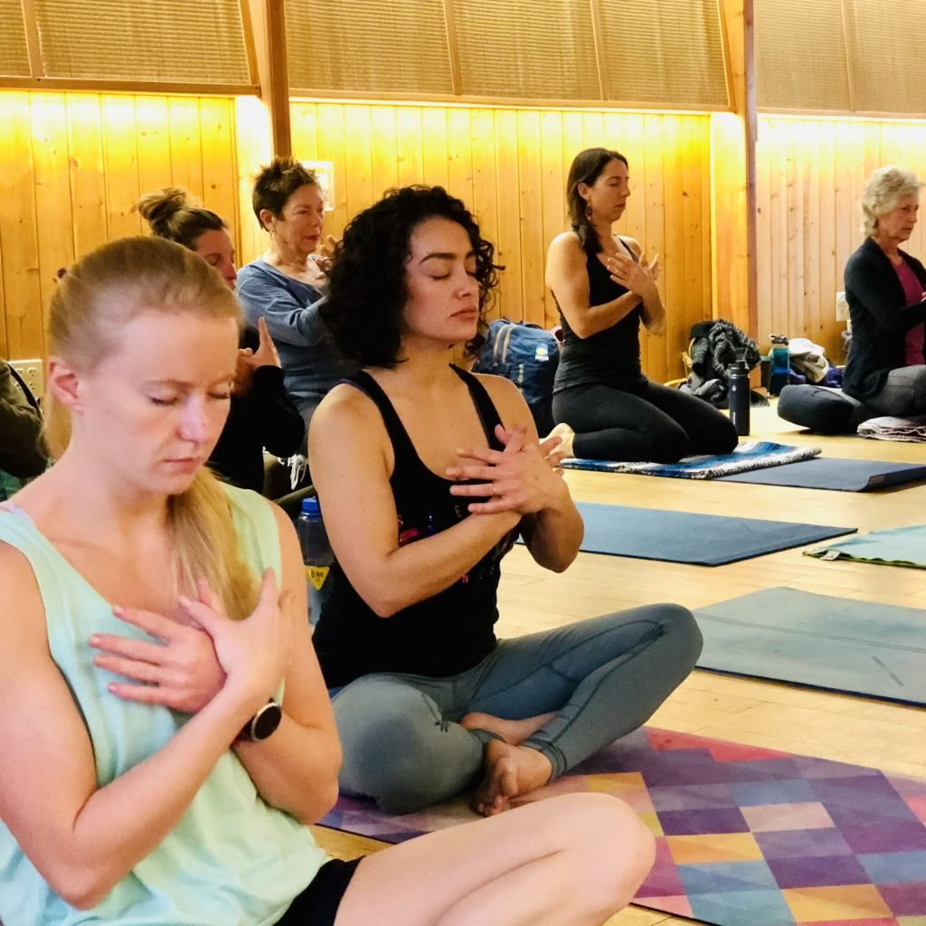 22nd Annual Yoga Jambalaya