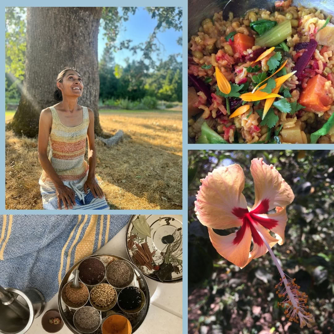 22nd Annual Yoga Jambalaya