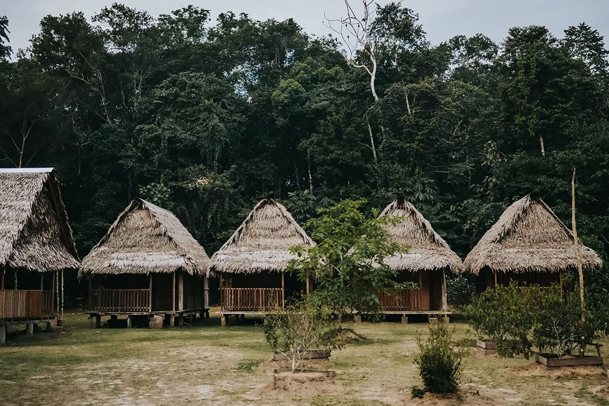 11-Day Ayahuasca Retreat in Peru – July 24 - August 3 2026 | Shipibo Healing & Integration