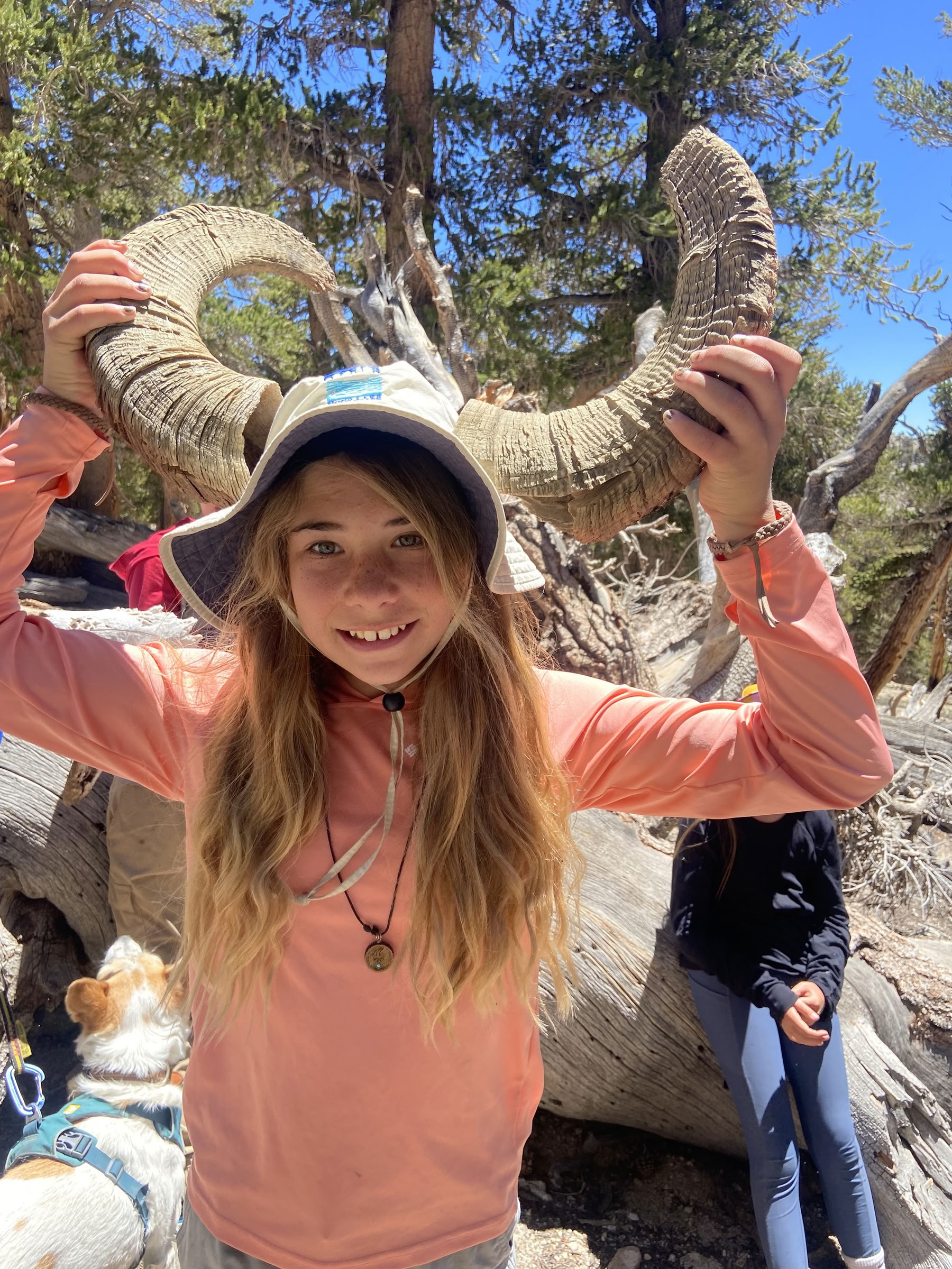 Youth Engaged in Transformational Inquiry : 6-Day Wilderness Camp-Out