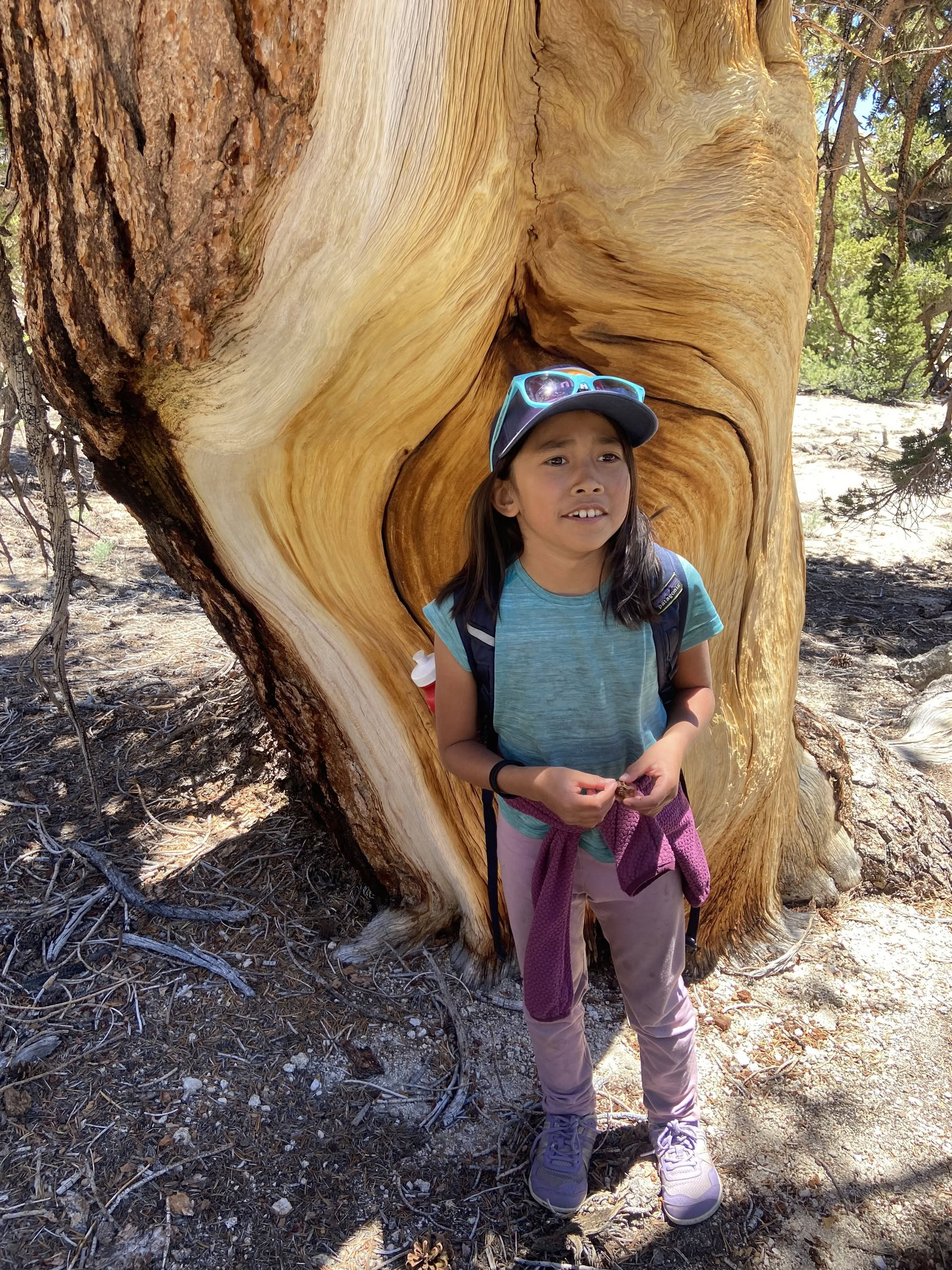 Youth Engaged in Transformational Inquiry : 6-Day Wilderness Camp-Out