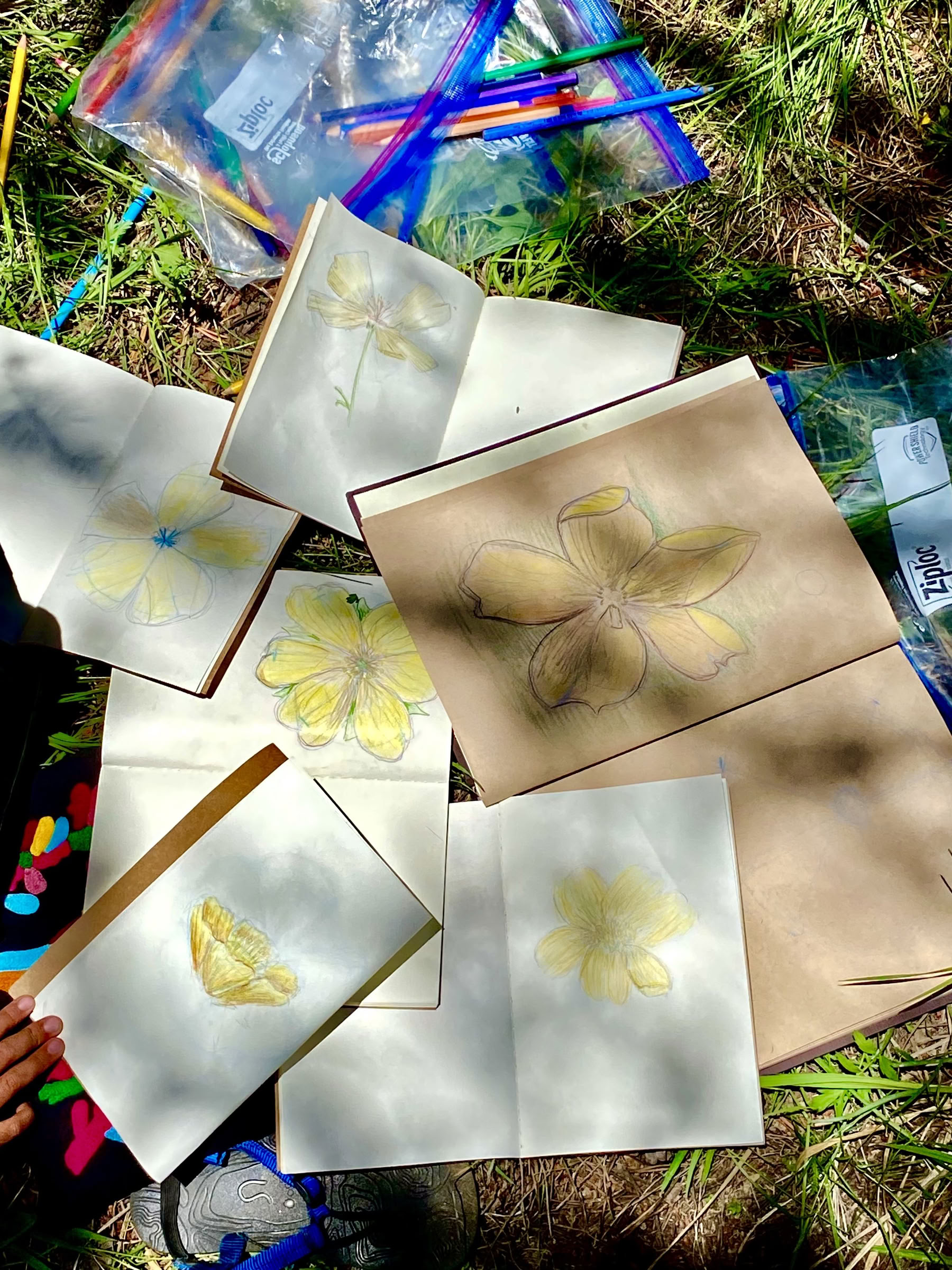 Youth Engaged in Transformational Inquiry : 6-Day Wilderness Camp-Out