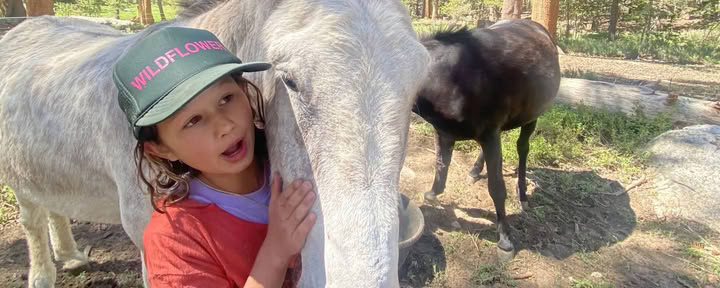 Youth Engaged in Transformational Inquiry : 6-Day Wilderness Camp-Out