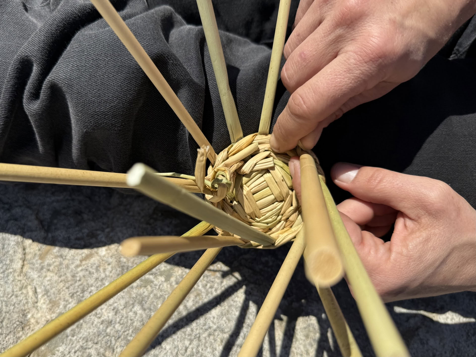 Native Basketry & Traditional Ways of Knowing
