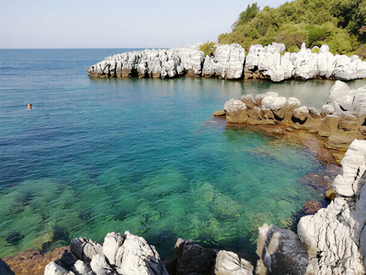 Greek Vegetarian Cooking