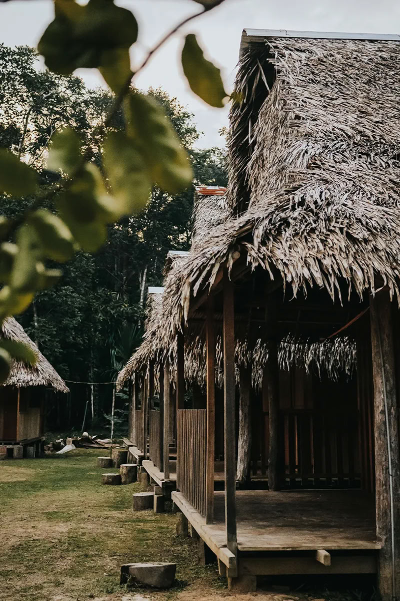 11 Days Kambo Healing Retreat in Peru – Deep Detox & Energetic Renewal