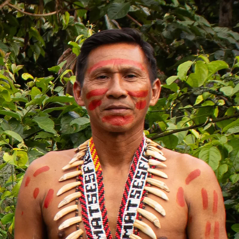 11 Days Kambo Healing Retreat in Peru – Deep Detox & Energetic Renewal