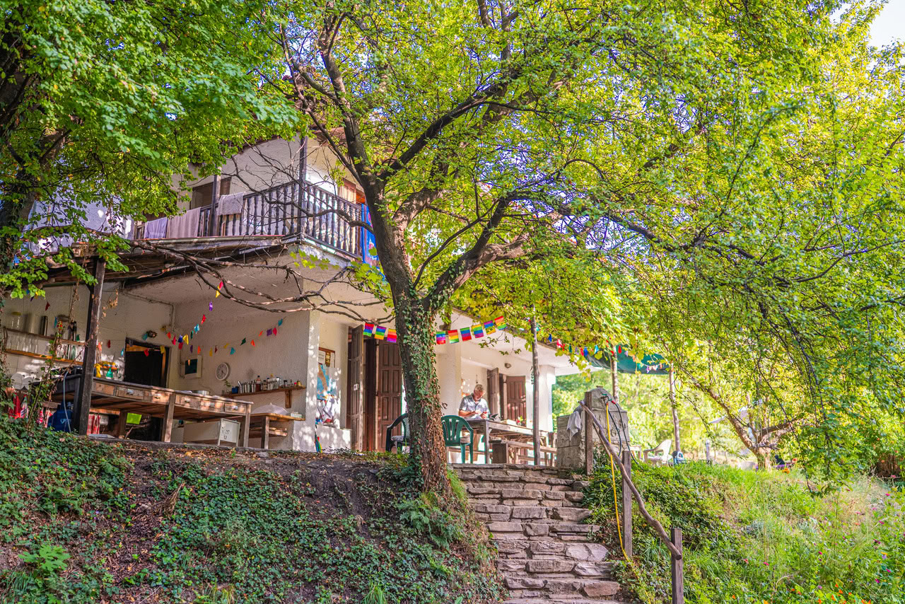 Balance Your Hormones in a Natural Way