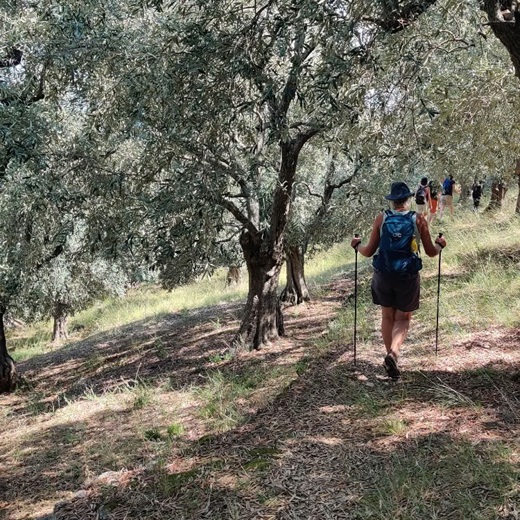 Guided Walking & Swimming Holiday