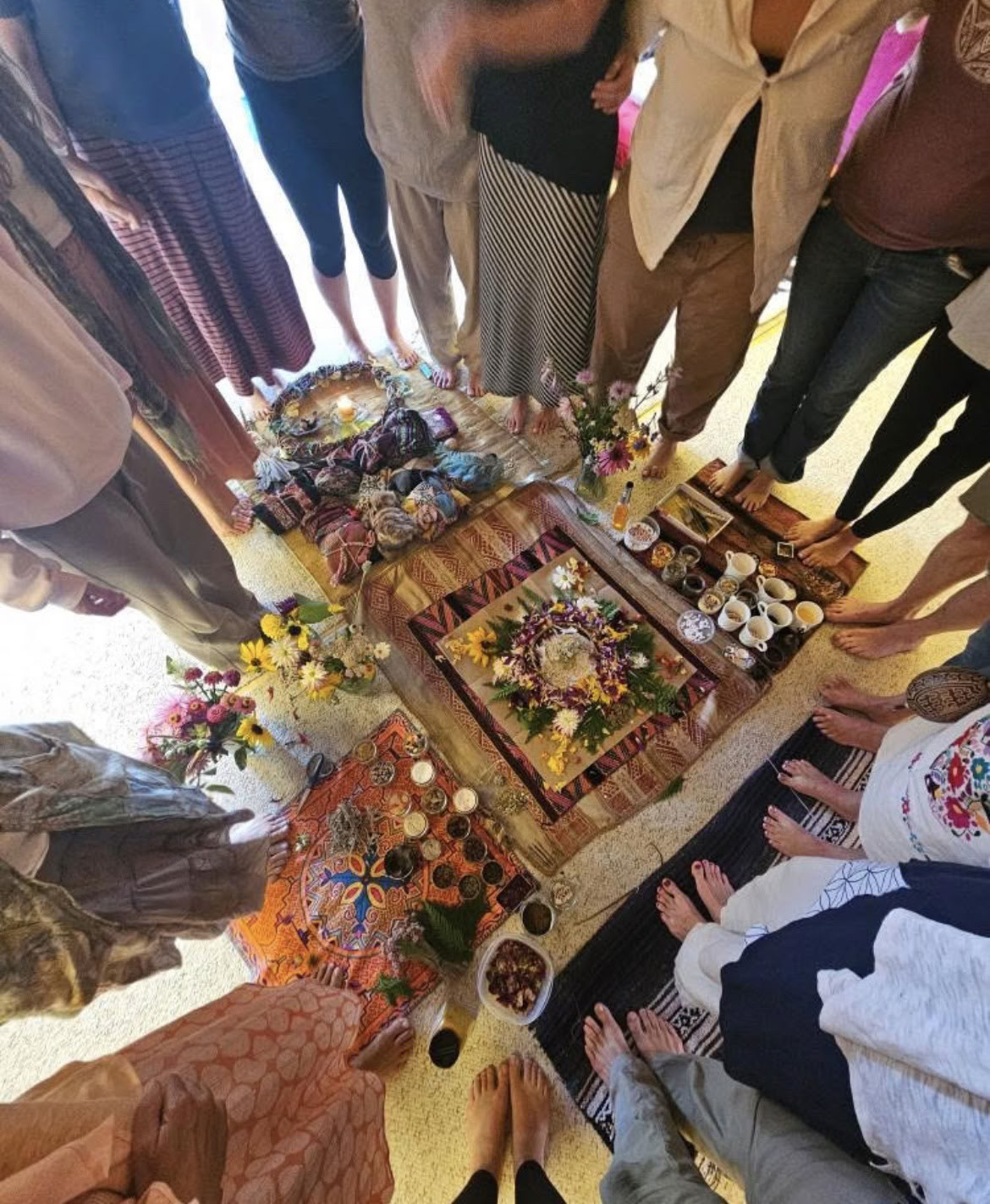 Sentinel Presents – Trauma As Medicine Retreat