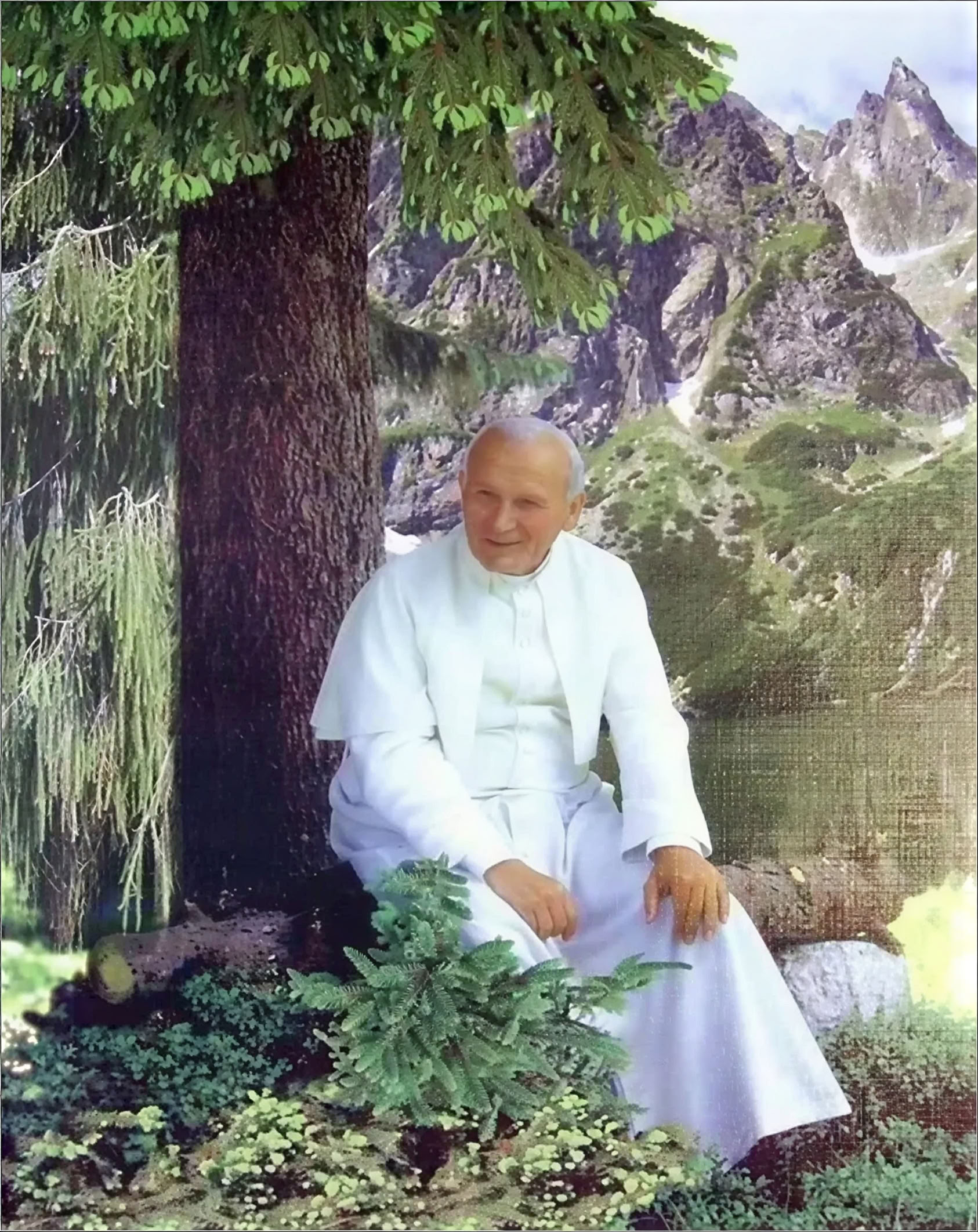 Forest Bathing at St. Placid Priory