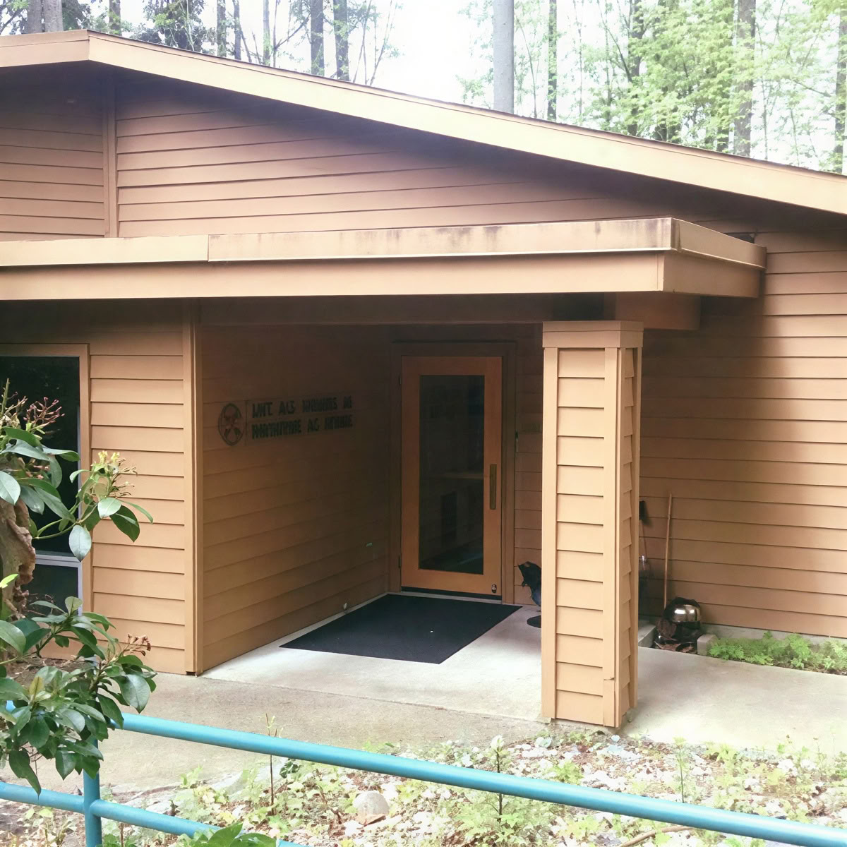 Forest Bathing at St. Placid Priory