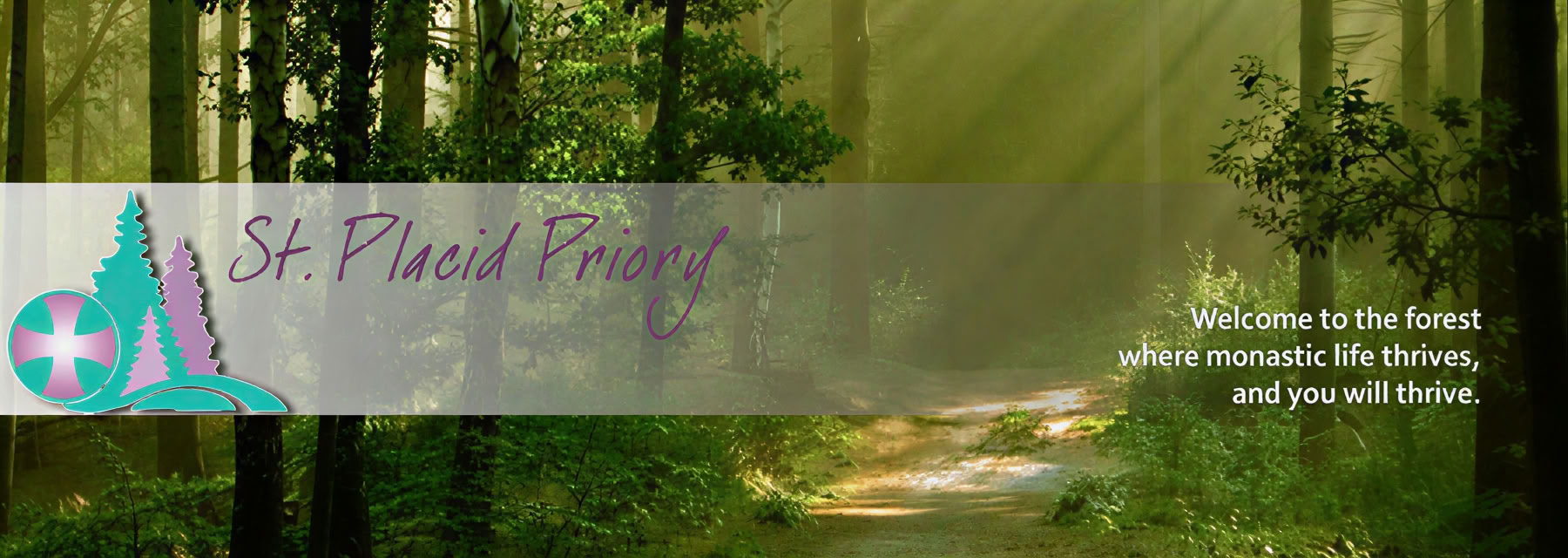 Forest Bathing at St. Placid Priory