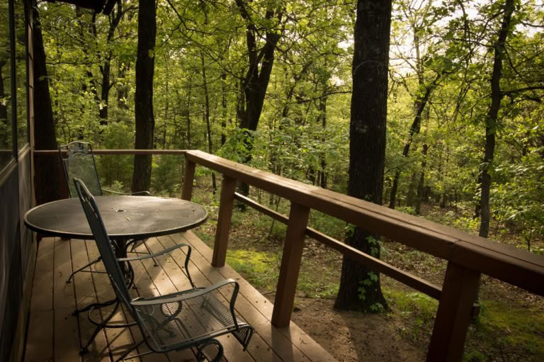 Family Day at the Forest — Forest of Peace