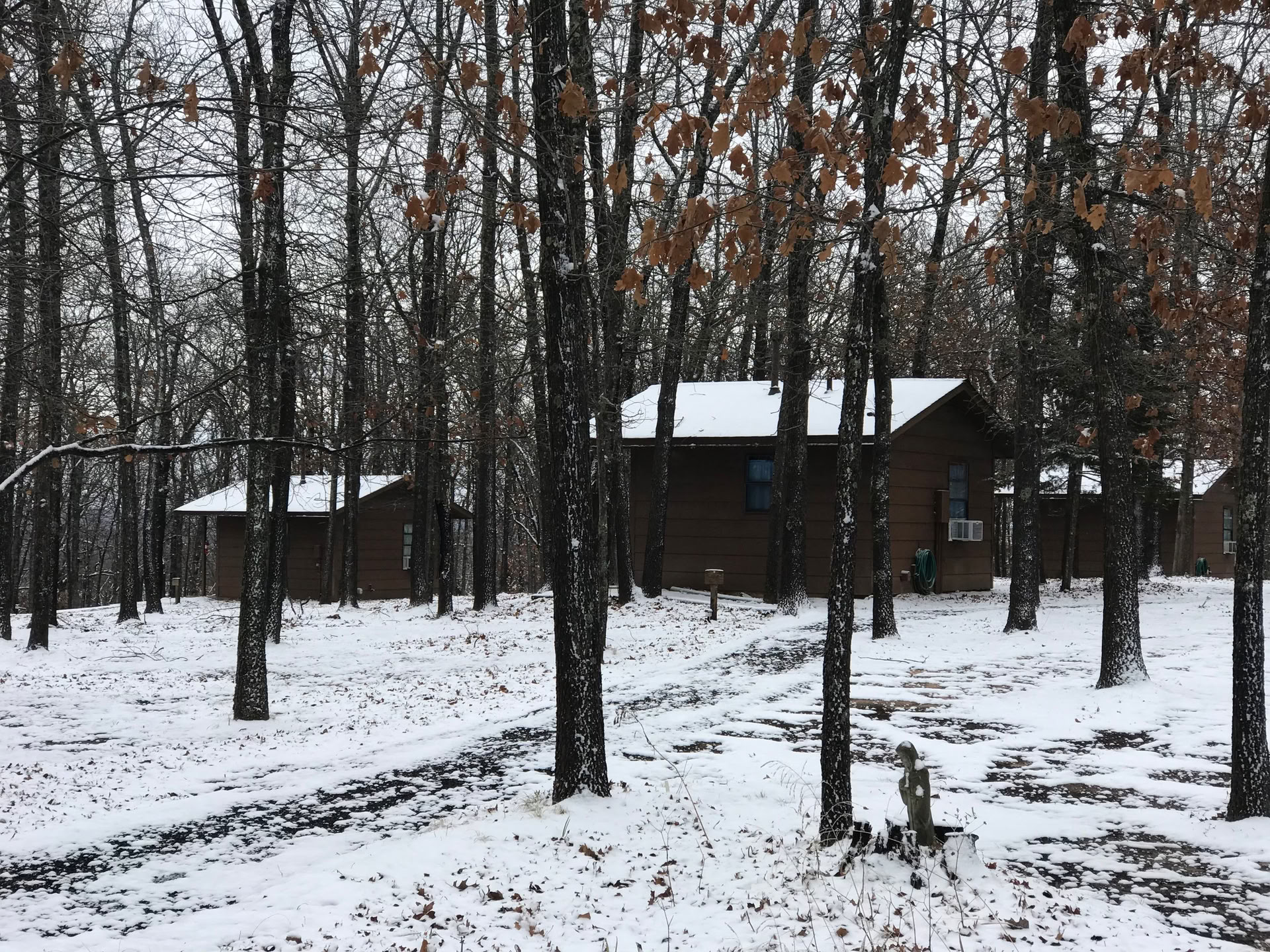 Family Day at the Forest — Forest of Peace