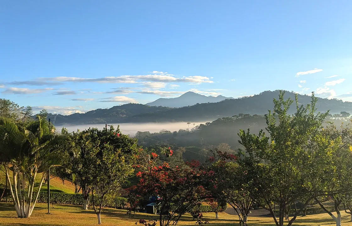 5 Night Ayahuasca Retreat