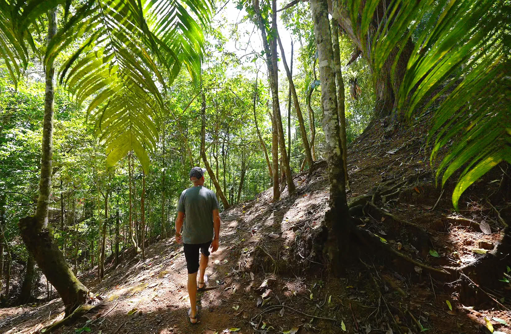 5 Night Ayahuasca Retreat