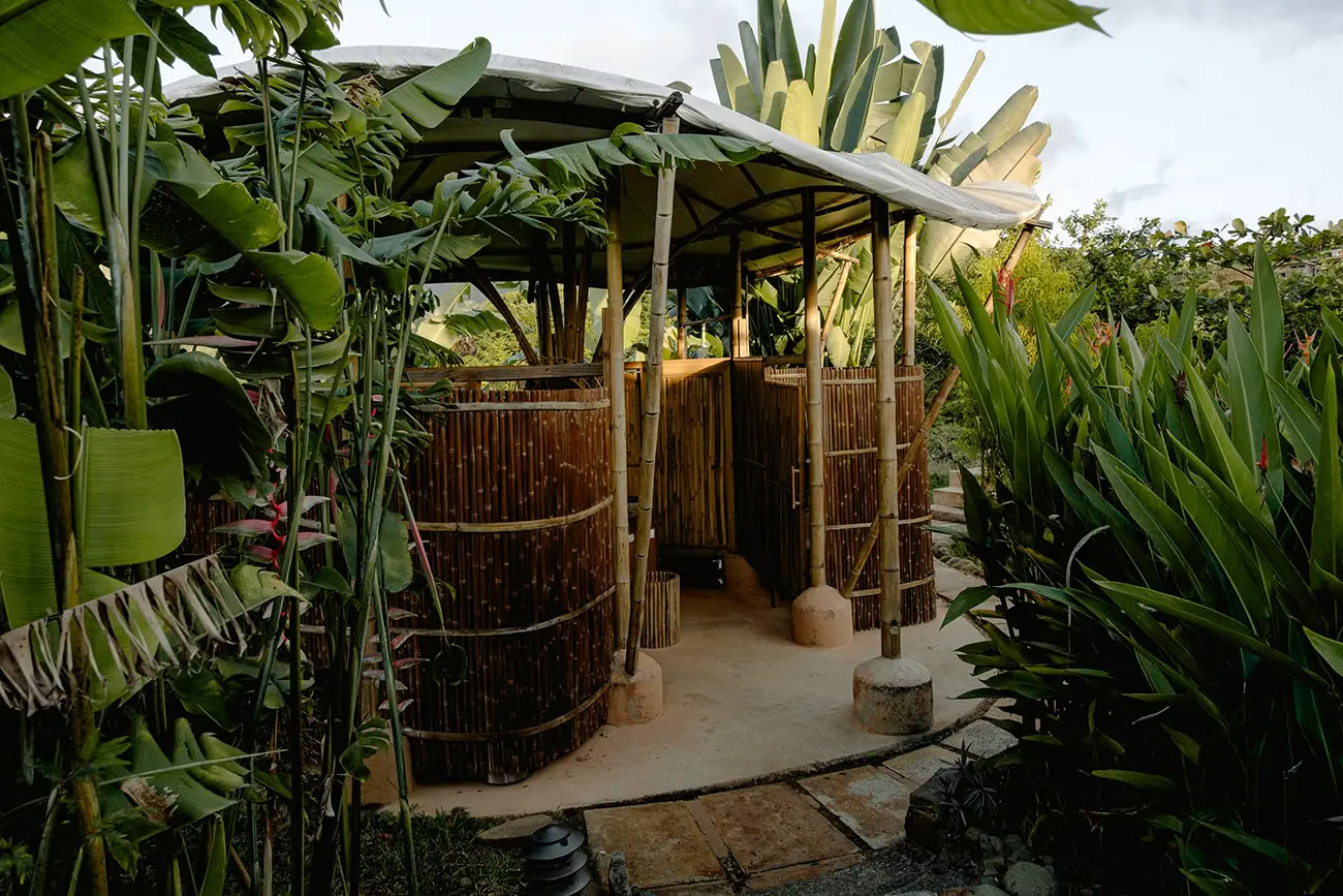 5 Night Ayahuasca Retreat