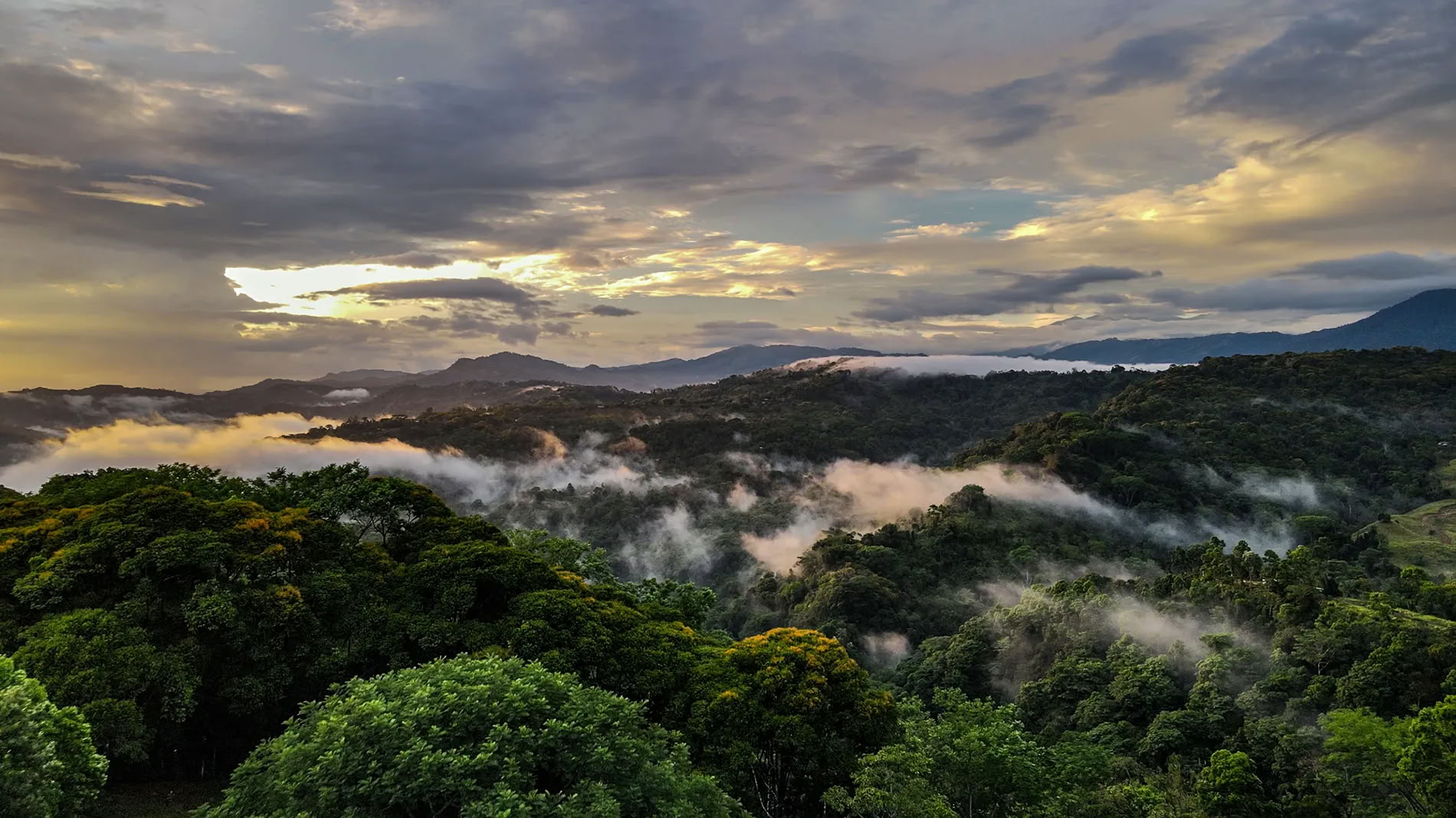 5 Night Ayahuasca Retreat