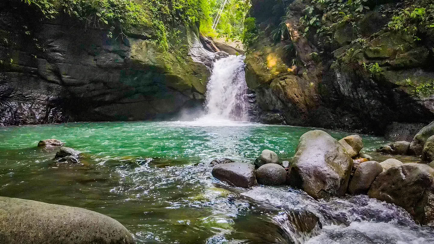 5 Night Ayahuasca Retreat