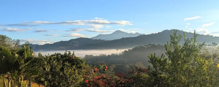 5 Night Ayahuasca Retreat