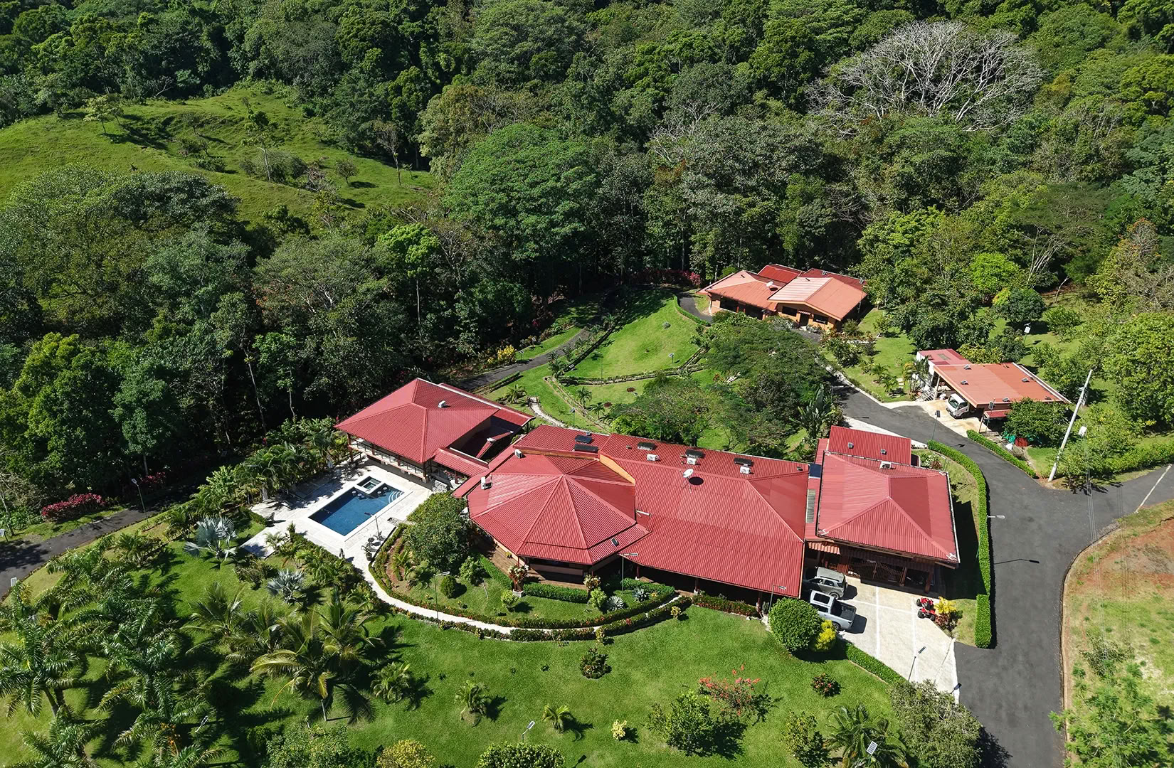 7 Night Ayahuasca Retreat