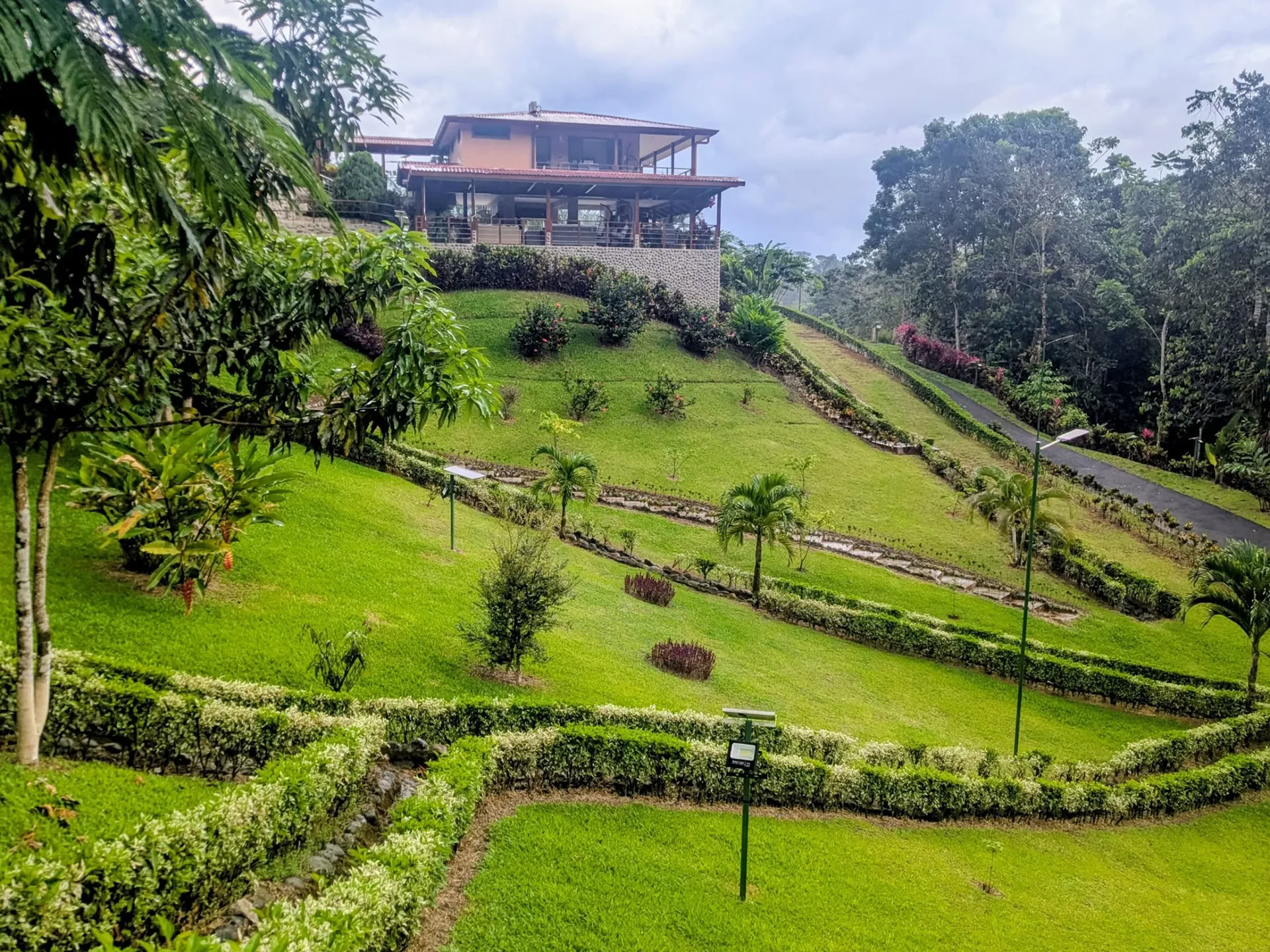 7 Night Ayahuasca Retreat