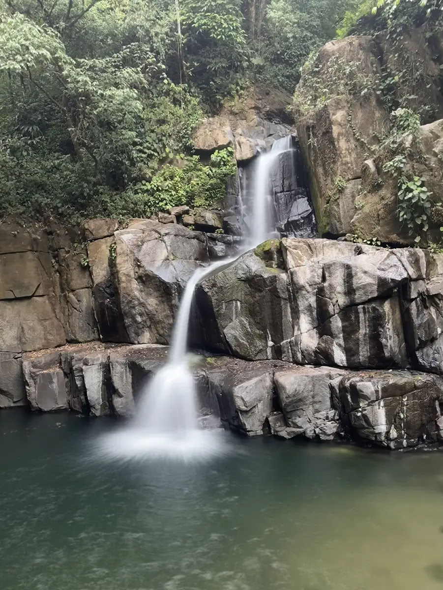 7 Night Ayahuasca Retreat