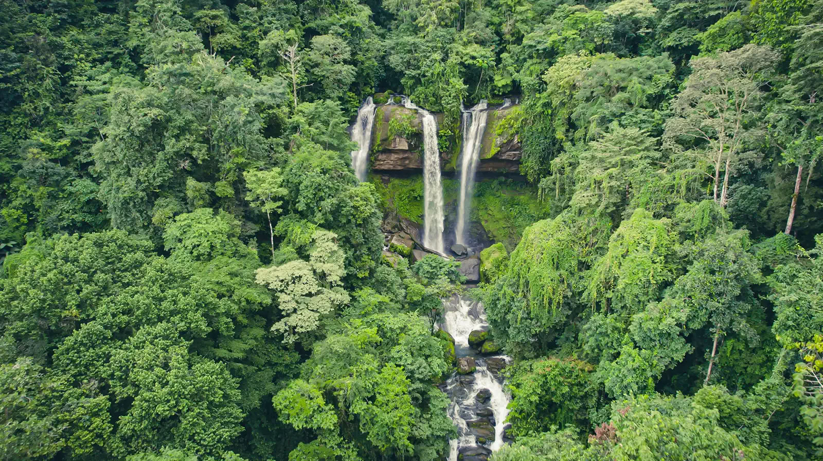 7 Night Ayahuasca Retreat
