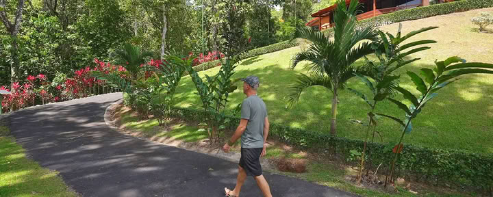 7 Night Ayahuasca Retreat