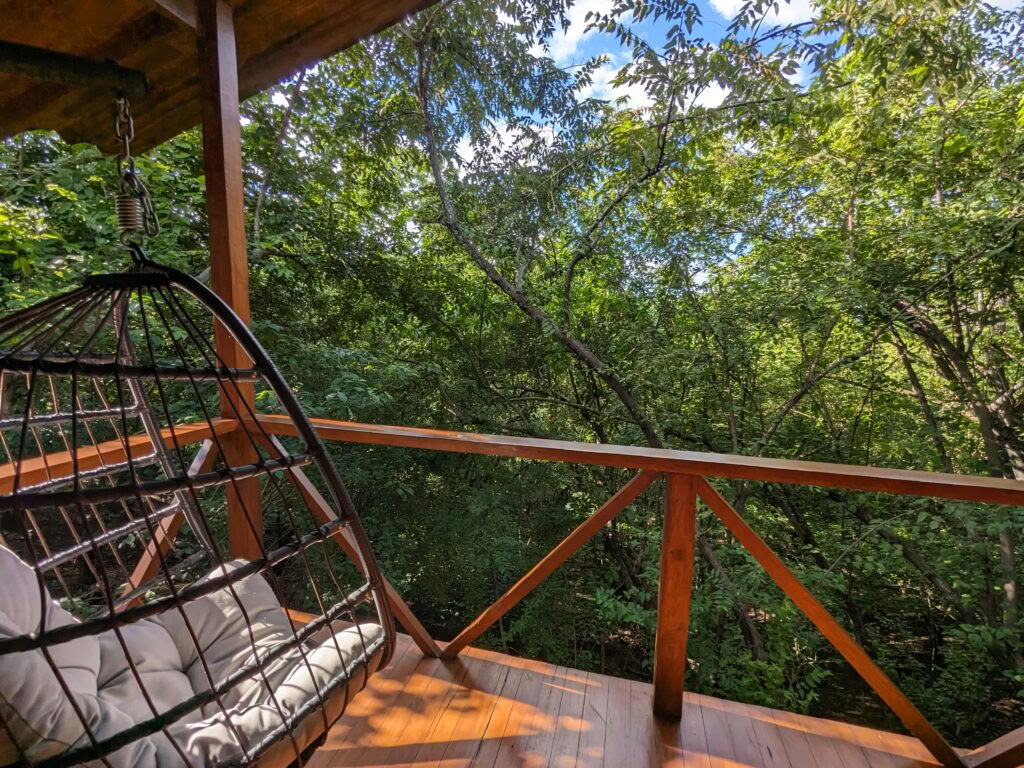 Return to The Medicine | Seven Night Retreat For Return & Experienced Guests