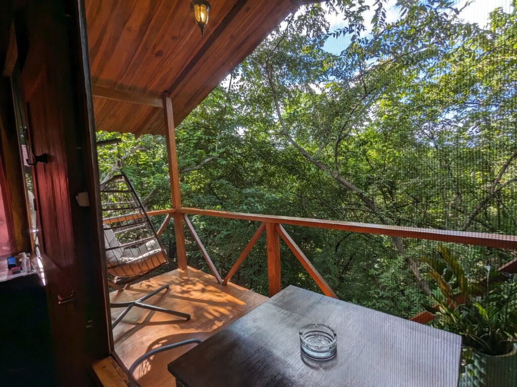 Return to The Medicine | Five Night Retreat