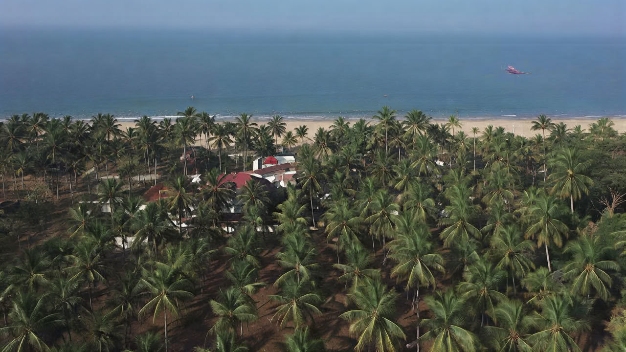 Samshuddhi - Ayurveda Detox Package