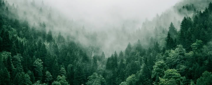 The Fierce Heart of Now: The Work That Reconnects, Spiritual Abundance & Vajrasattva Empowerment - A Weeklong Retreat with Lama Linda Hochstetler & Karen McAllister — The Dharma Centre of Canada