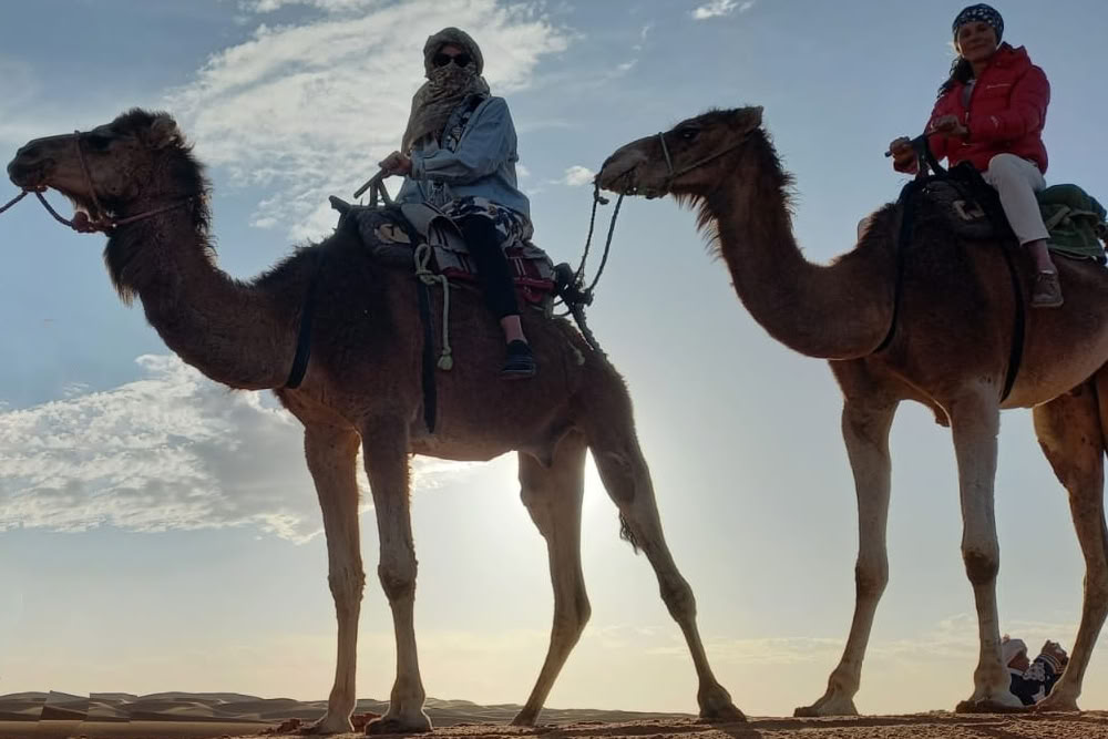 The Voice of the Desert
