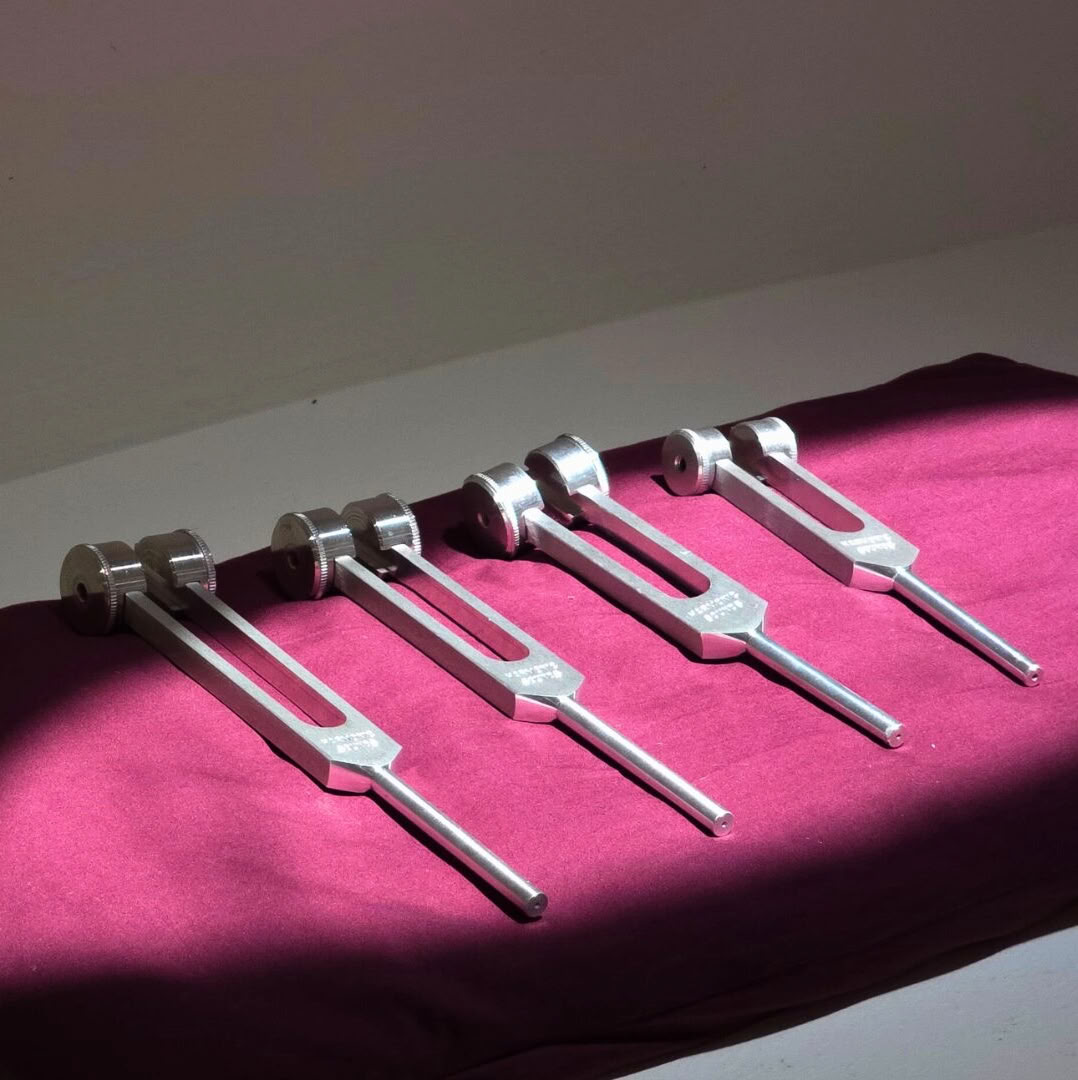 Tuning Fork Training Spain
