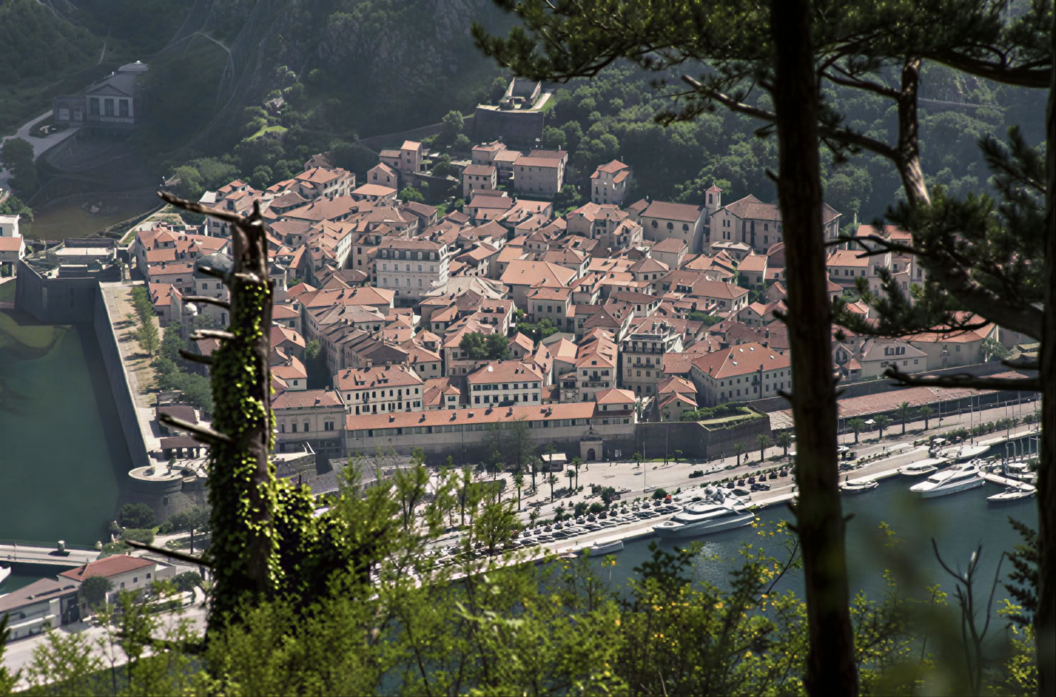Montenegro Monastery Private Tour