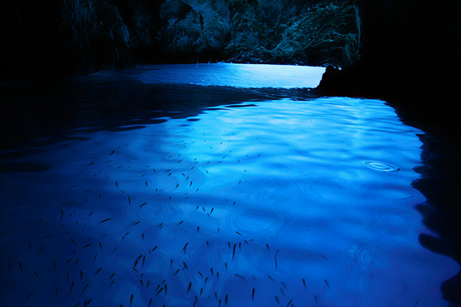 Stunning Seaside Tour