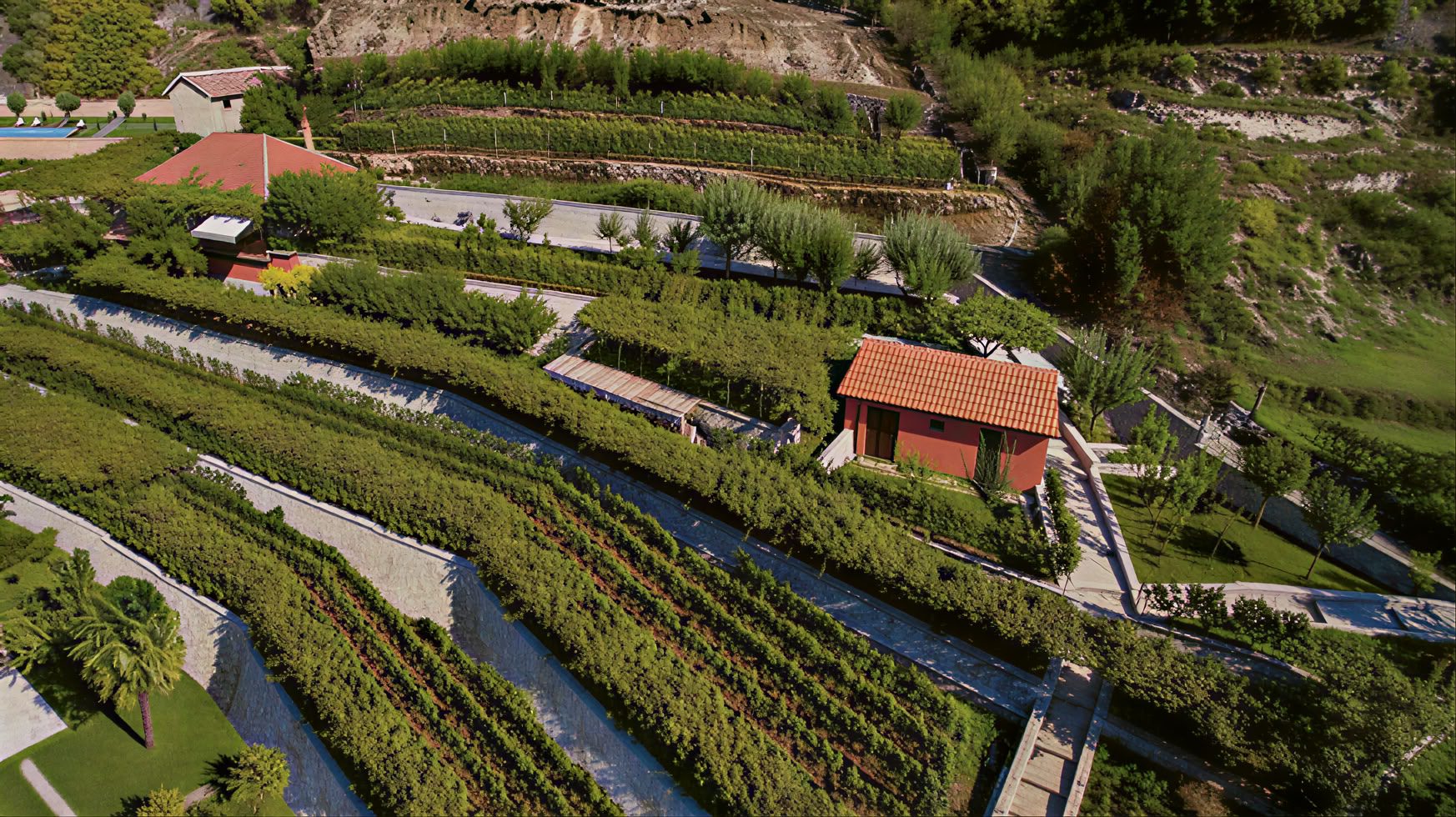 Crmnica Wine Road Tour