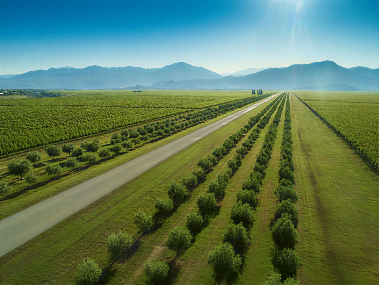 Montenegro Wine Road Tour