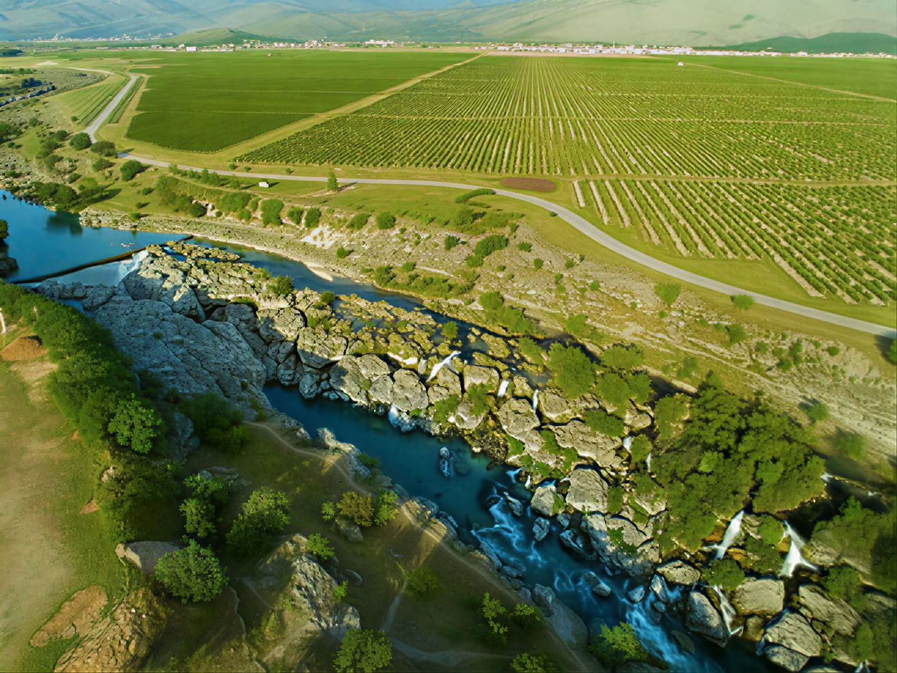 Montenegro Wine Road Tour
