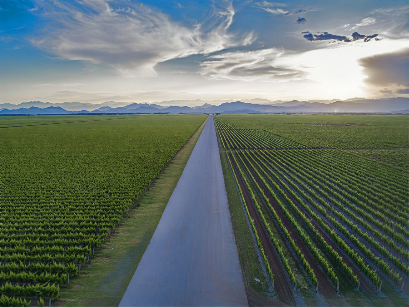 Montenegro Wine Road Tour