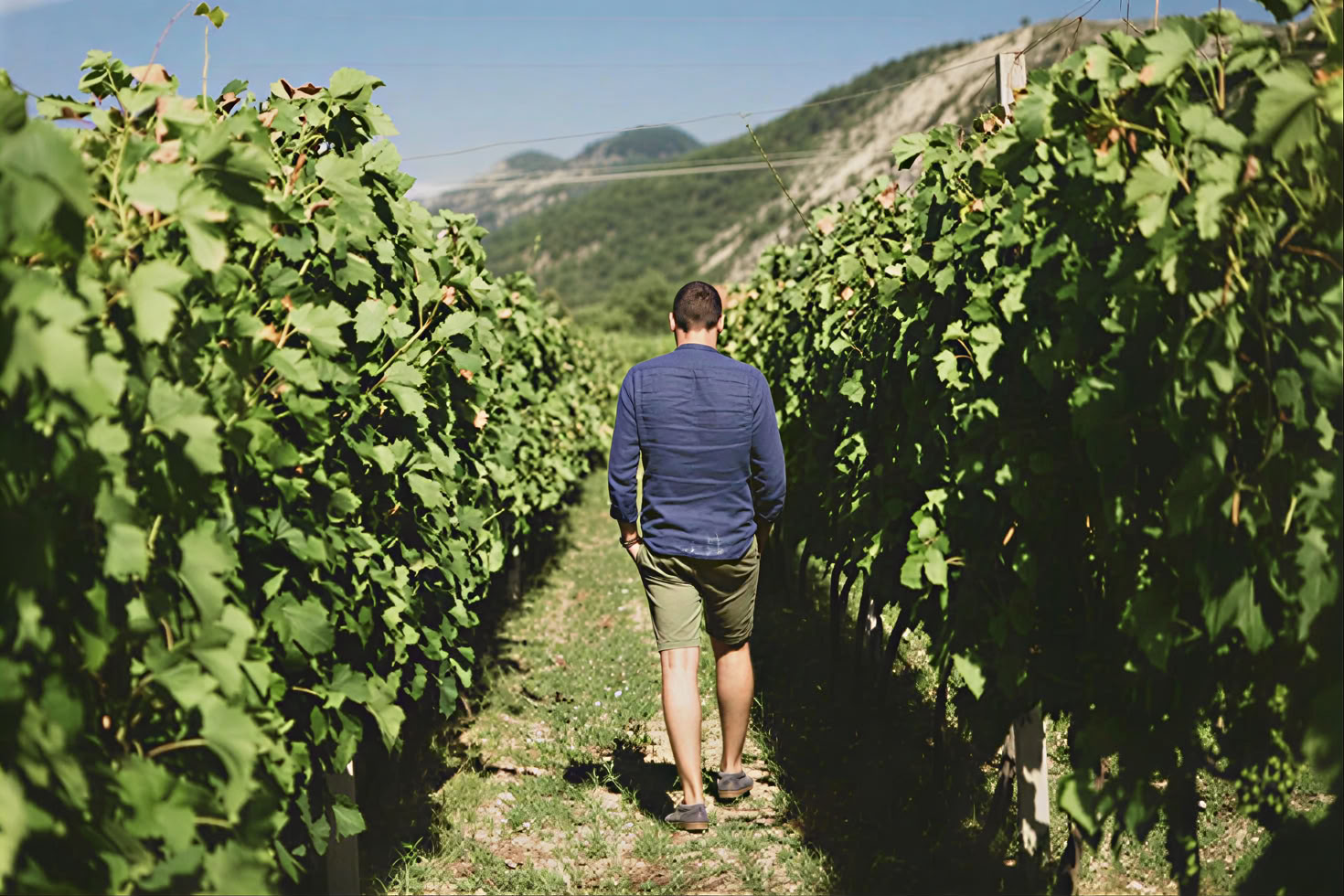 Montenegro Wine Road Tour