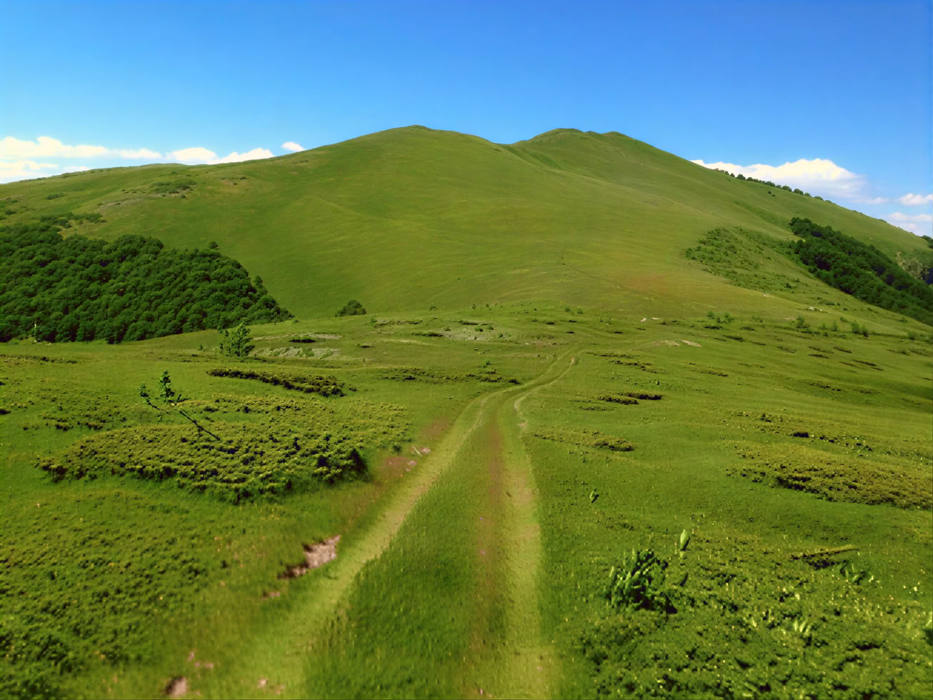 Bjelasica Hiking Tour