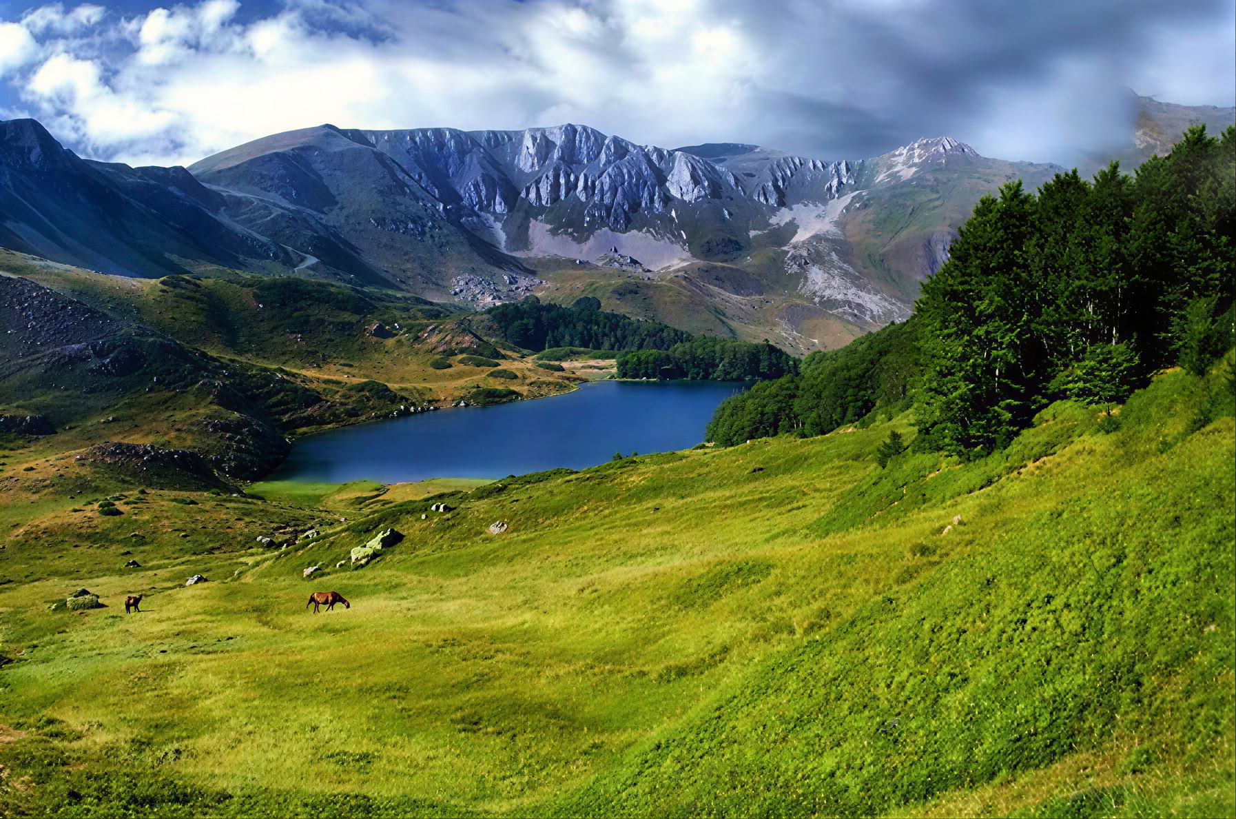 Bjelasica Hiking Tour