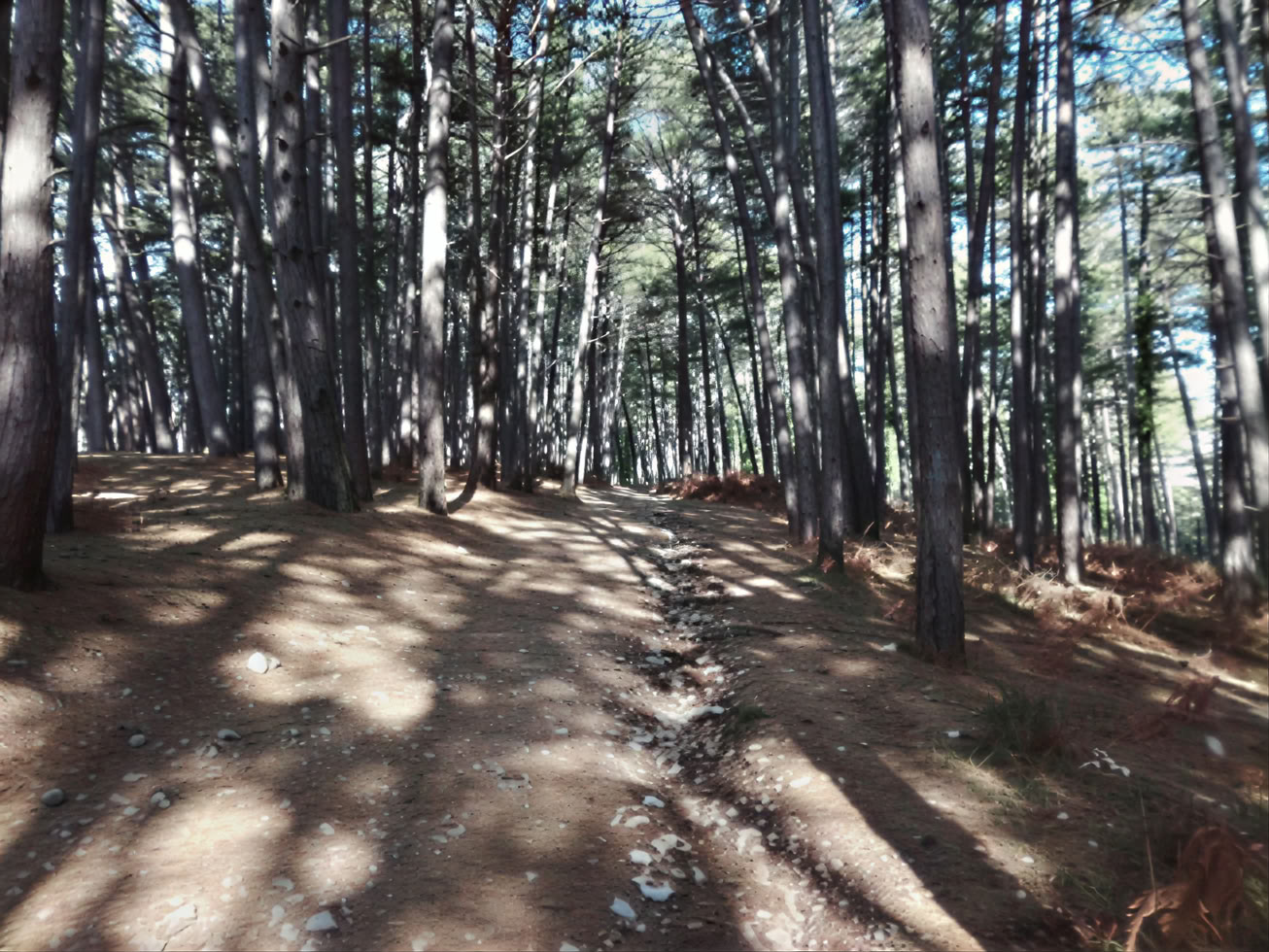 Vrmac Hiking Private Tour