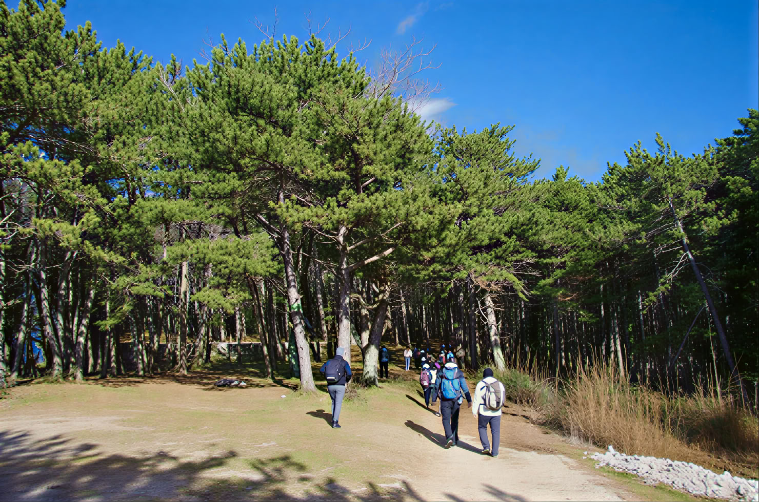 Vrmac Hiking Private Tour