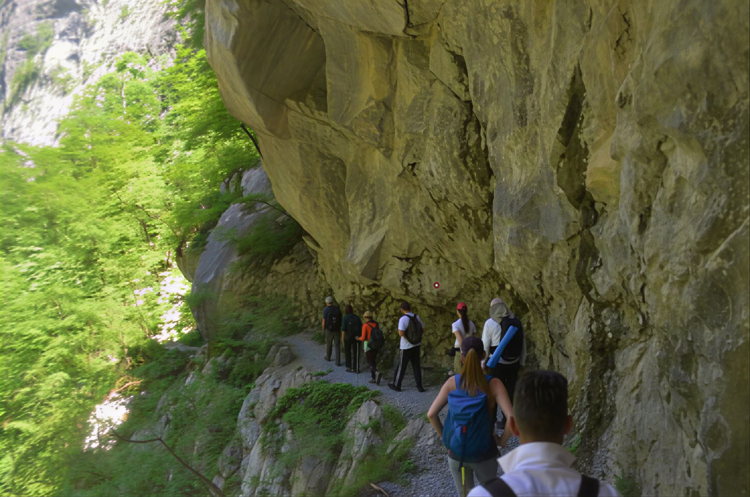 Mrtvica Canyon Hiking Private Tour