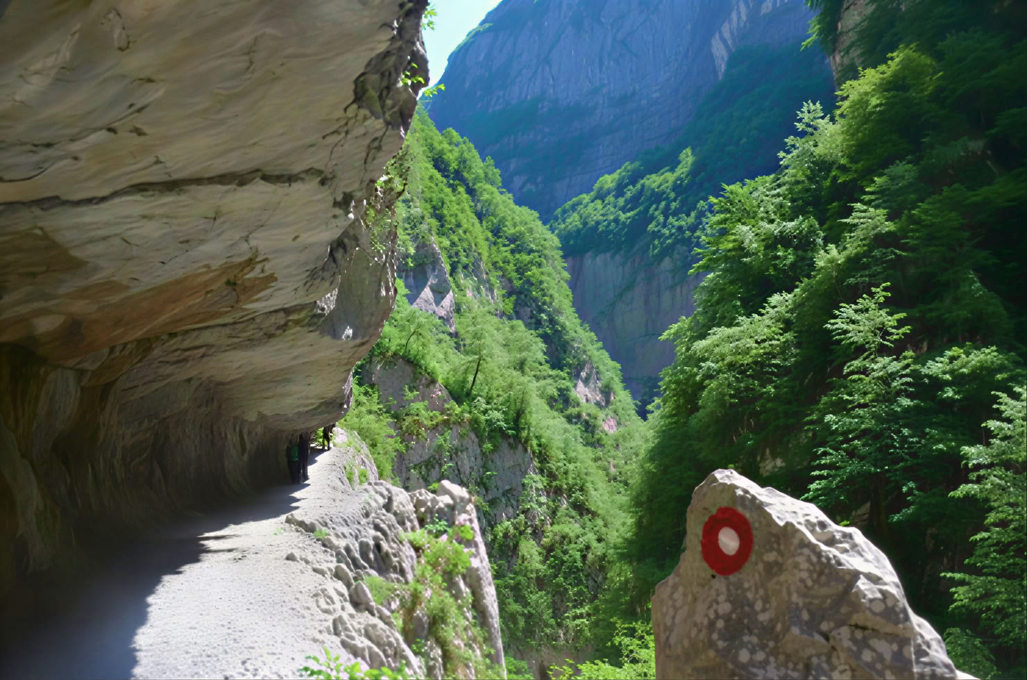Mrtvica Canyon Hiking Private Tour