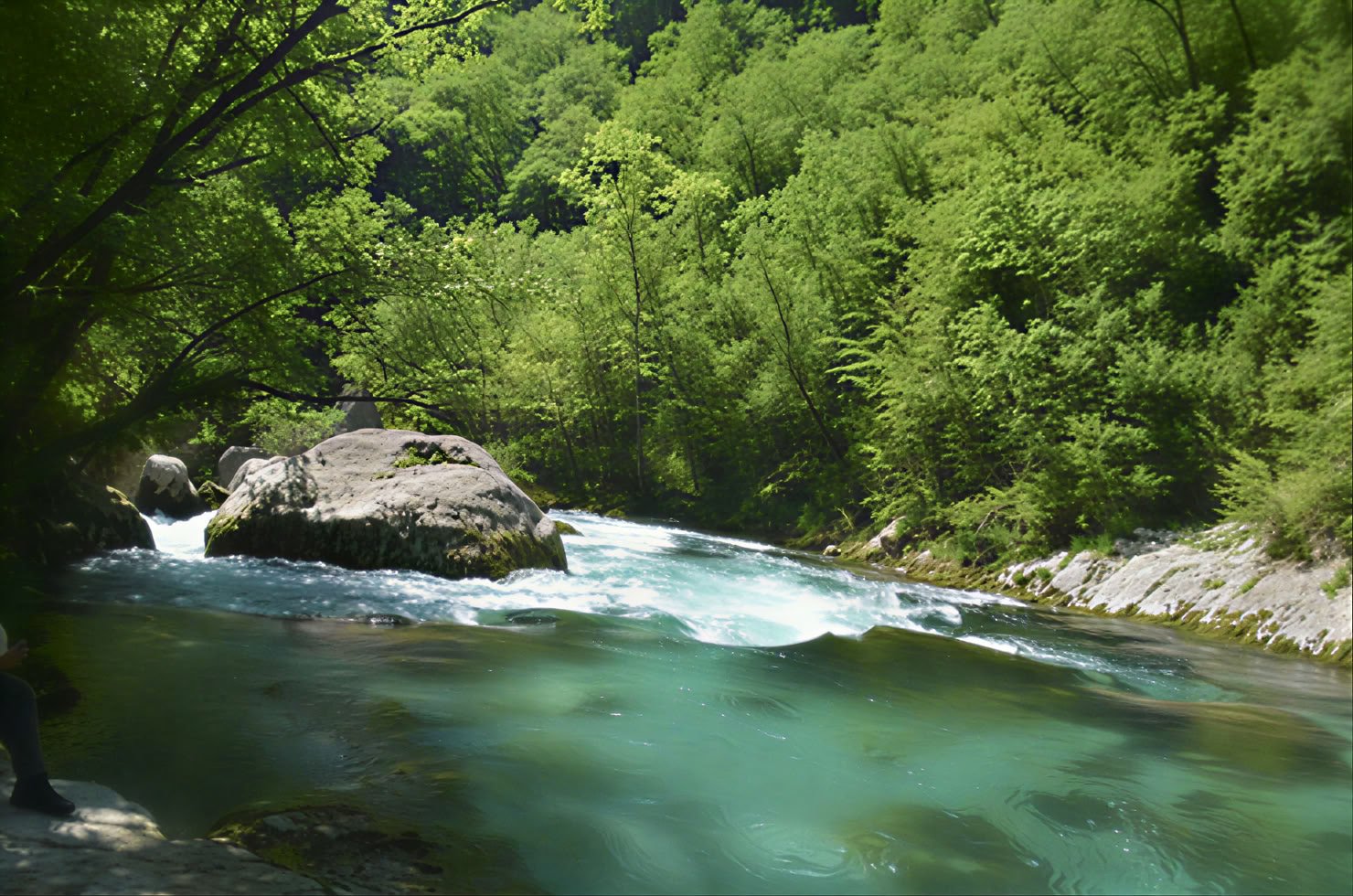 Mrtvica Canyon Hiking Private Tour